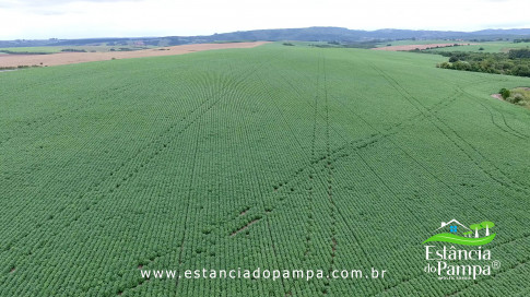 DOS EÓLICOS VIRA P FAZENDA_Moment.00_01_28_01.Quadro146_d81b5ab92c00db12cffcca6c7d551057b84504c6.jpg